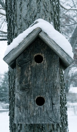 birdhouse11.jpg