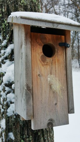 birdhouse