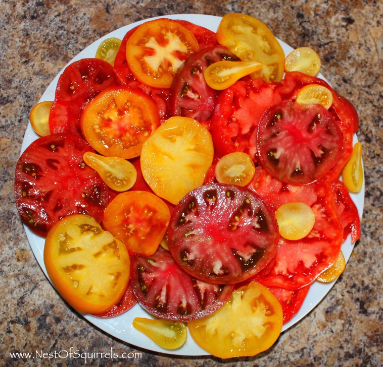 Tomato plate